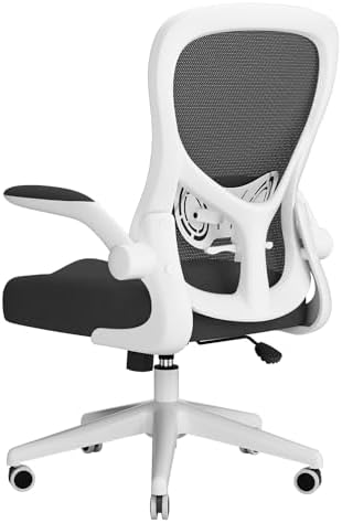 Hbada Ergonomic Office Chair (B085XQRBC5)