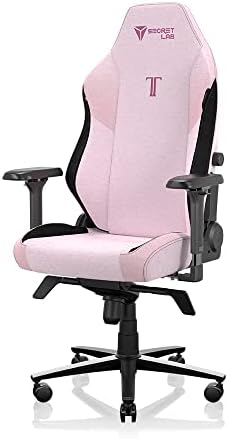 Secretlab Titan Evo Mesh (B0B3RK4BB8)